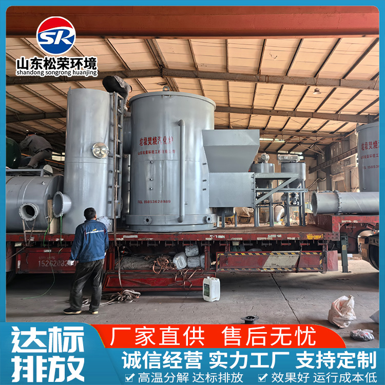 泰州市医疗垃圾焚烧炉农村垃圾焚烧炉 - 排名